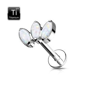 Labret