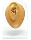 SILICONE DISPLAY COLORE CARNE - parti del corpo e genitali -