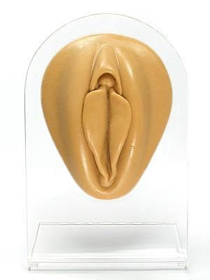 SILICONE DISPLAY COLORE CARNE - parti del corpo e genitali -